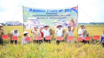 Gubernur Herman Deru Panen Raya Padi IP 200 di Banyuasin: Bukti Konsistensi Petani dan Dukungan Pemprov Sumsel