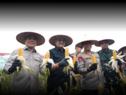 Wabub Ardani Hadiri Panen Raya Jagung Serentak, Sinergi Pemprov, Pemkab Ogan Ilir dan Polda Sumsel Perkuat Program Swasembada Pangan